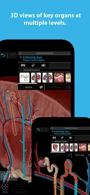 Human Anatomy Atlas 2024 Captura de tela 2