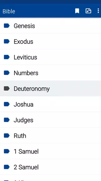 Spurgeon Bible Commentary Screenshot 2