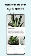 PlantCam: AI Plant Identifier Screenshot 3