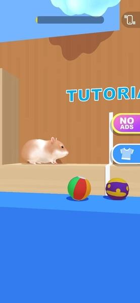 Hamster Maze应用截图第1张