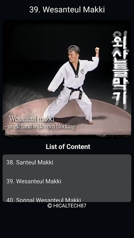 Taekwondo Basic Motions應用截圖第4張