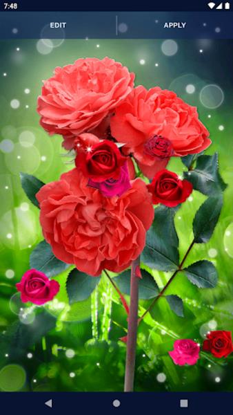 Red Rose Live Wallpaper Capture d’écran 1