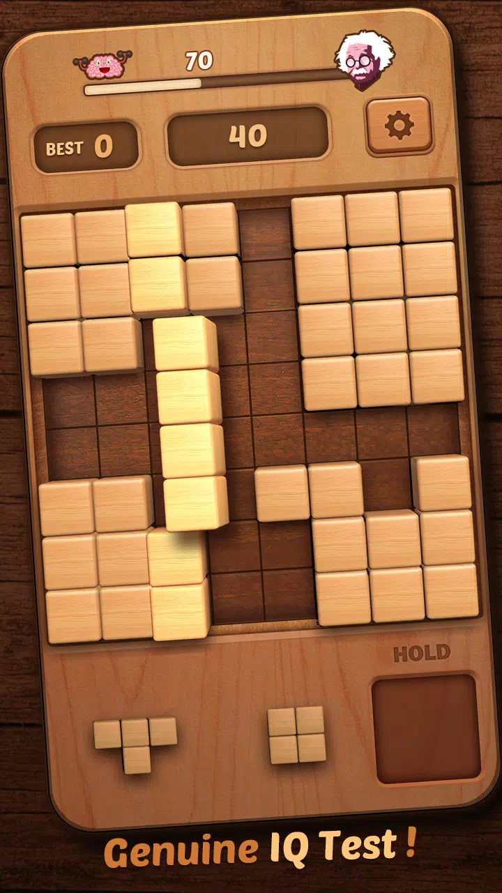 Wood Block Puzzle 3D應用截圖第4張