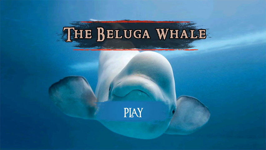 The Beluga Whale 스크린샷 3