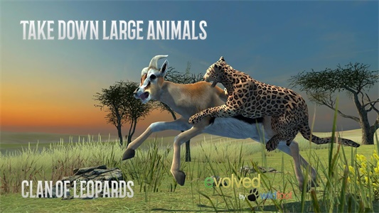 Clan of Leopards應用截圖第3張