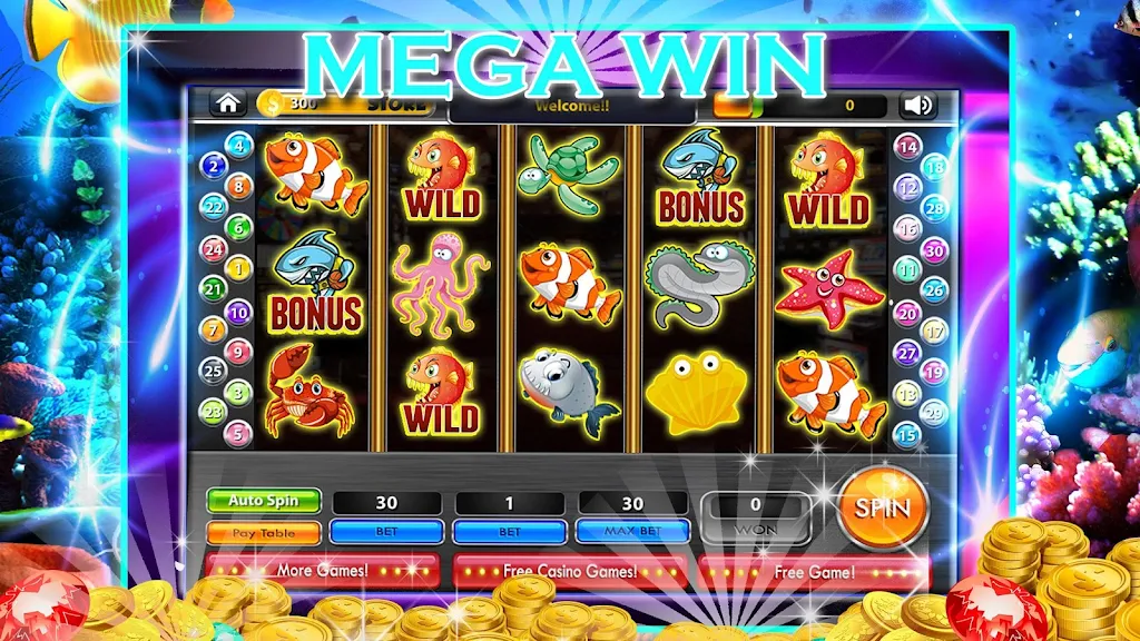 Dolphin Slots: Big fortune应用截图第1张