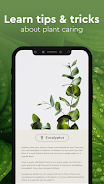 Nature Detect - Plant Identify Captura de pantalla 4