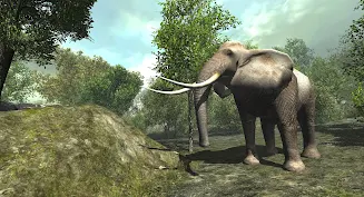 VR ZOO Safari Park Animal Game Captura de pantalla 4