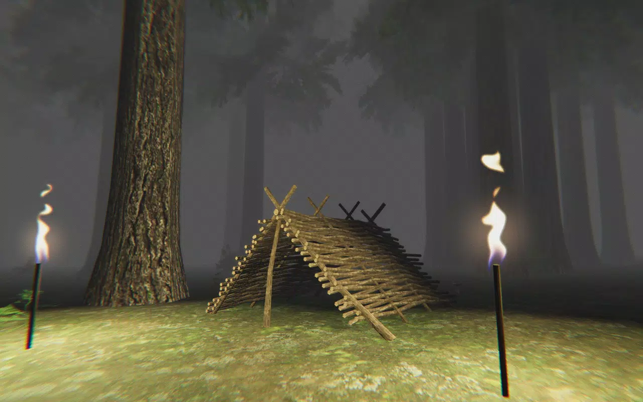 Trapped in the Forest应用截图第3张