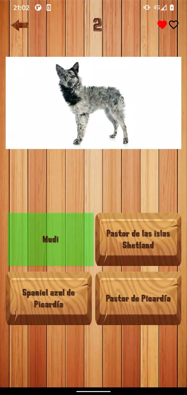 Guess dog breed Screenshot 2