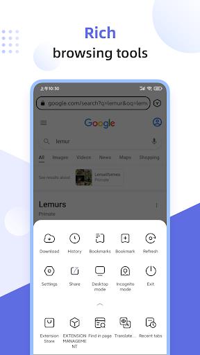 Lemur Browser - extensions Captura de pantalla 4