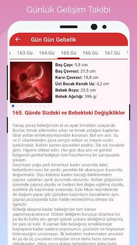 Gün Gün Gebelik Takibi Capture d’écran 3