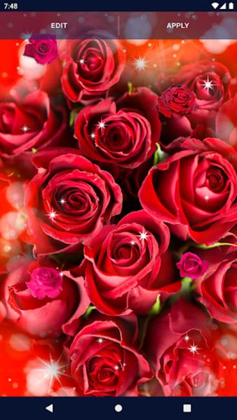 Red Rose Live Wallpaper Capture d’écran 2
