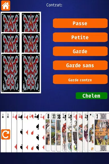 Net.Tarot應用截圖第2張