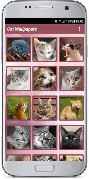 CUTE CAT WALLPAPERS Captura de tela 1