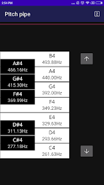 CarlTune - Chromatic Tuner Captura de tela 3