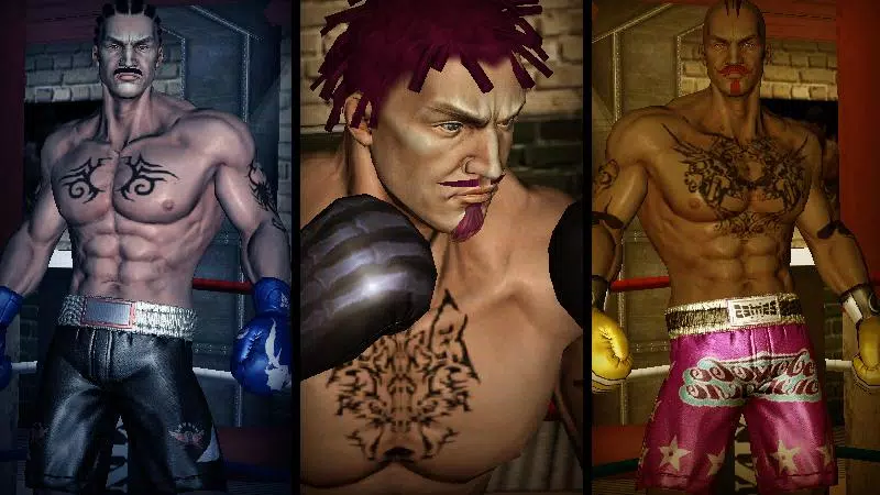 Punch Boxing 3D Screenshot 3