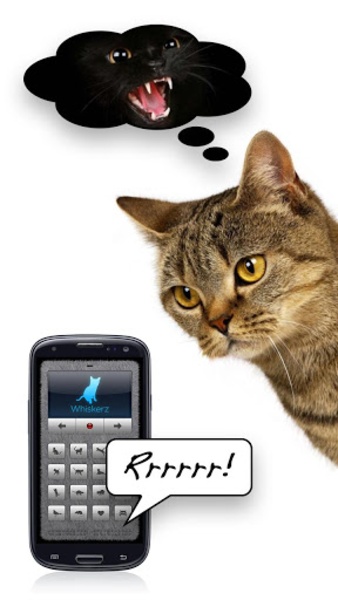 Human-to-Cat Translator Screenshot 3