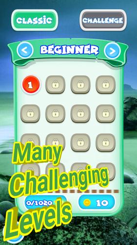 Classic Tetra Block Screenshot 3