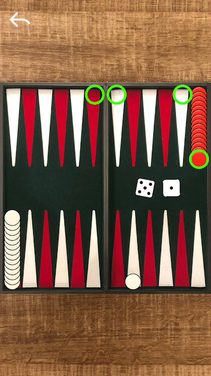 Narde Backgammon Screenshot 2