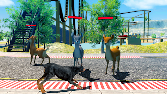 Doberman Dog Simulator Screenshot 2