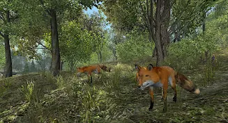 VR ZOO Safari Park Animal Game Captura de pantalla 3