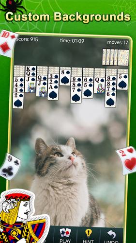 Spider Solitaire應用截圖第3張