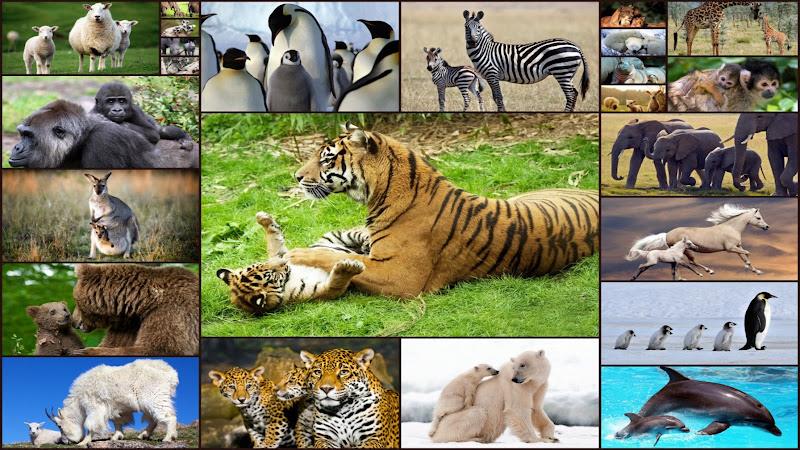 Baby Animal Jigsaw Puzzles 스크린샷 1