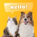 Dog & Cat Translator Prank