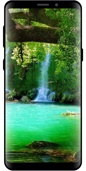 10000 Nature Wallpapers Capture d’écran 4