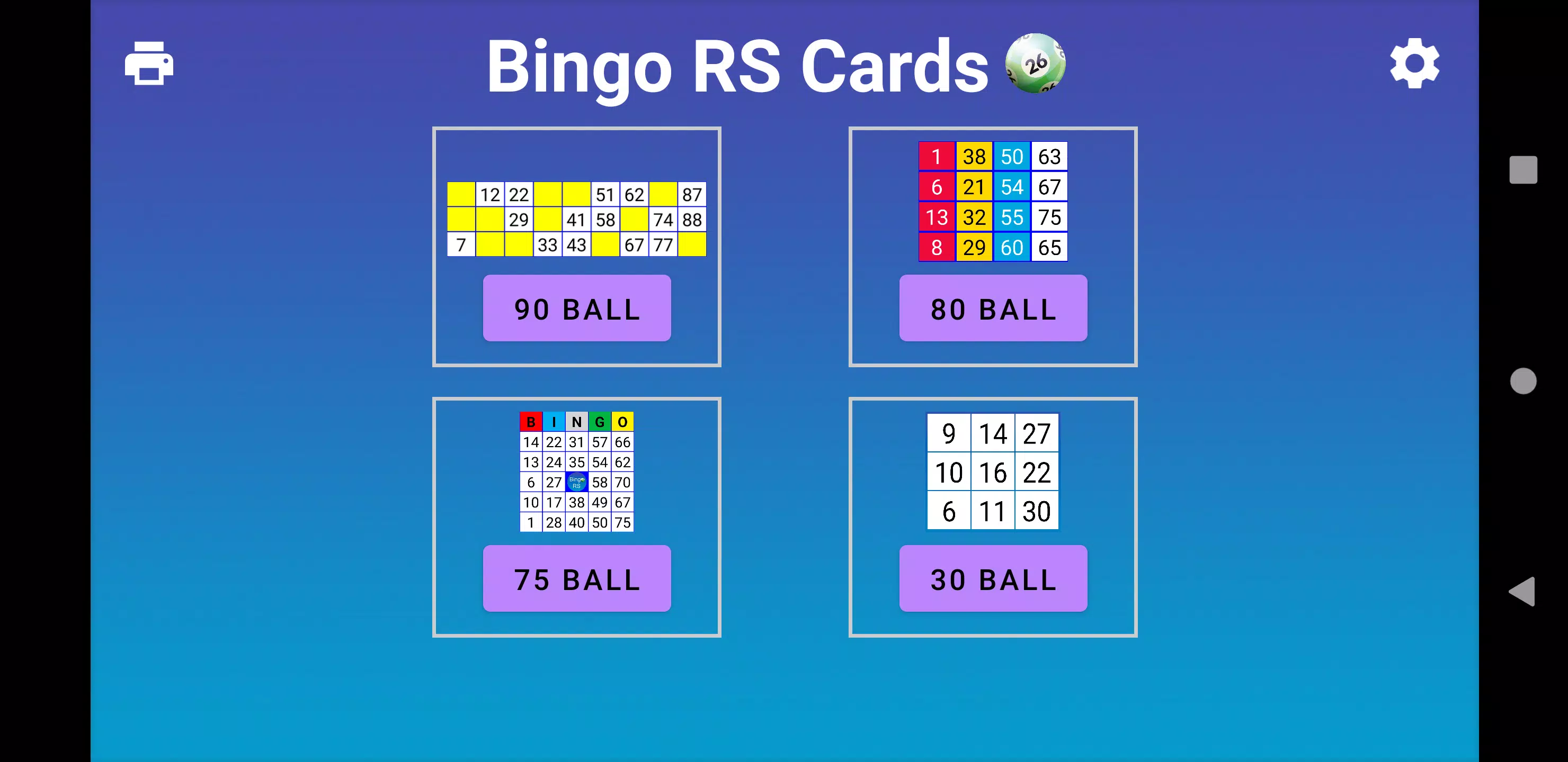 Bingo RS Cards Скриншот 1