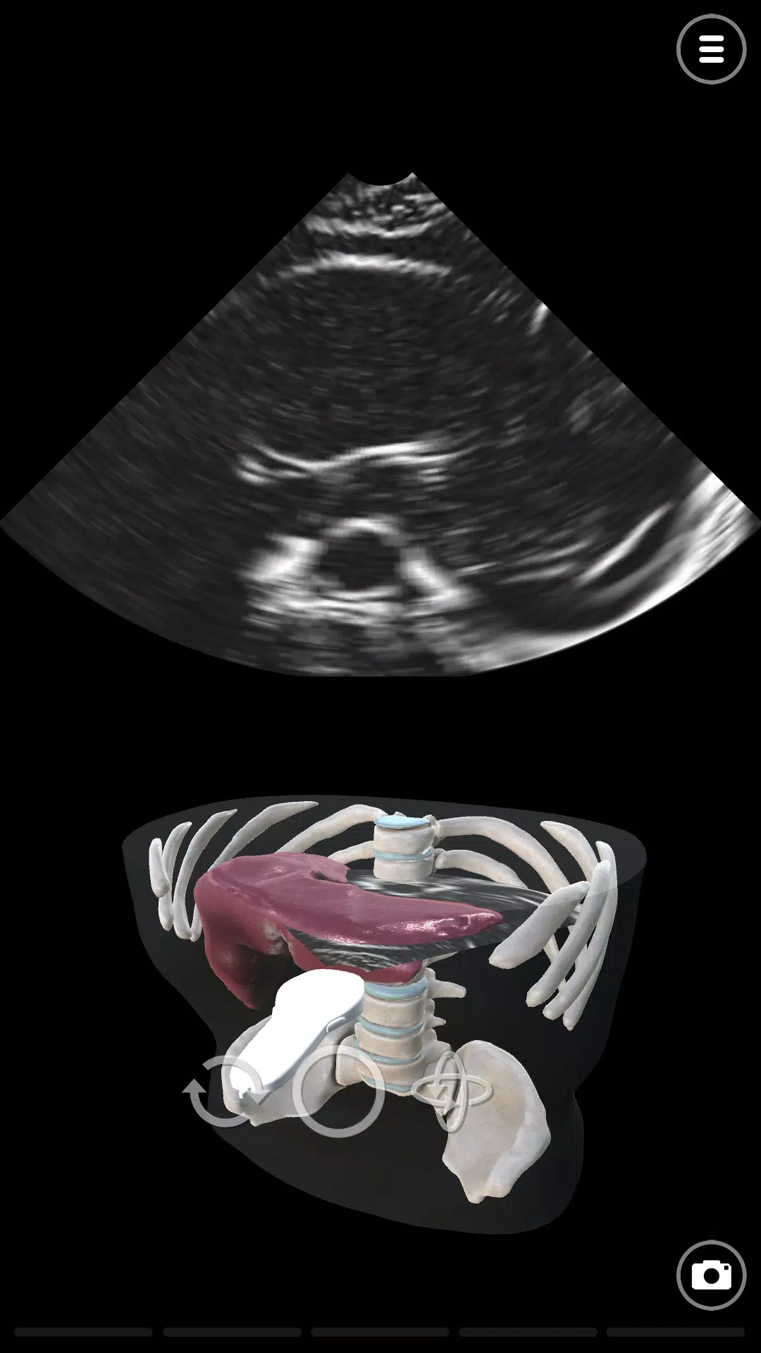 Deepscope Ultrasound Simulator Screenshot 2