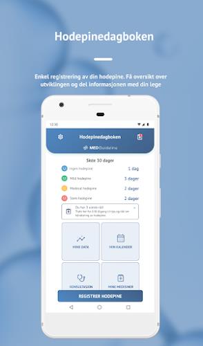 Hodepinedagboken Screenshot 1