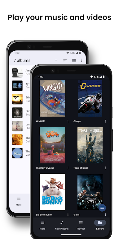 BubbleUPnP for DLNA/Chromecast 스크린샷 1
