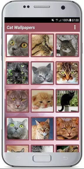 CUTE CAT WALLPAPERS Captura de tela 3