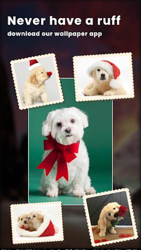 Puppy Love: Cute Dog Wallpaper Capture d’écran 2