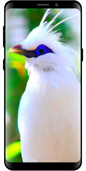 10000 Nature Wallpapers Capture d’écran 1