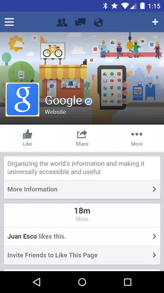 Tinfoil for Facebook應用截圖第1張