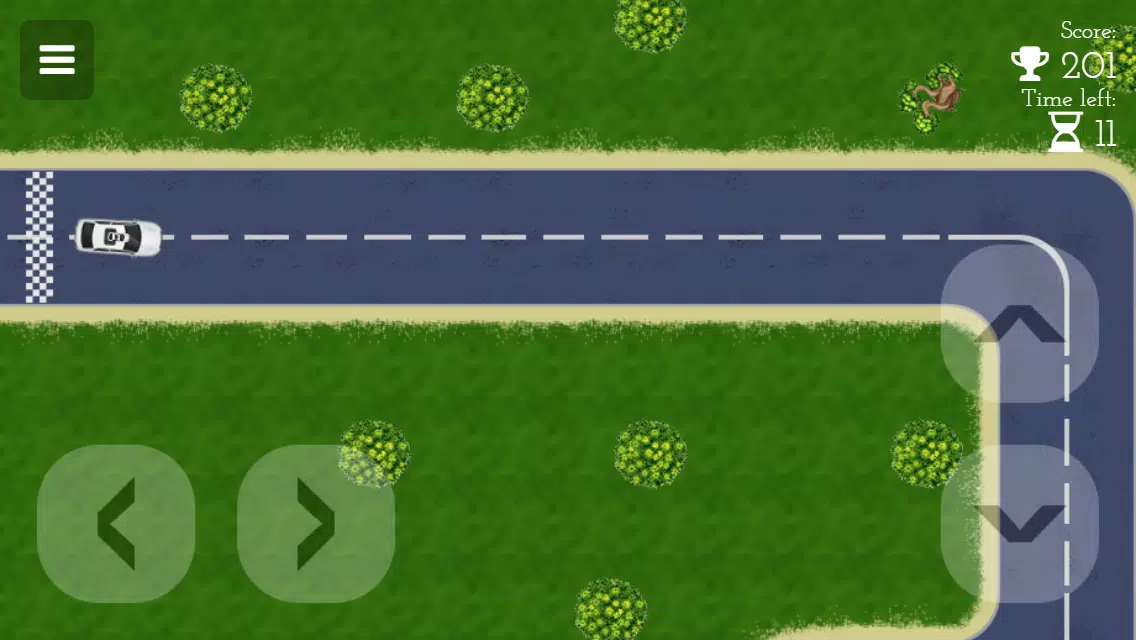 Car Driving Maze應用截圖第4張