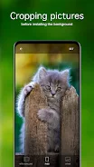 Fondos de pantalla con gatitos Captura de pantalla 4