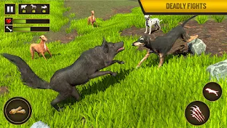 Wild Dog Pet Simulator Games Screenshot 4