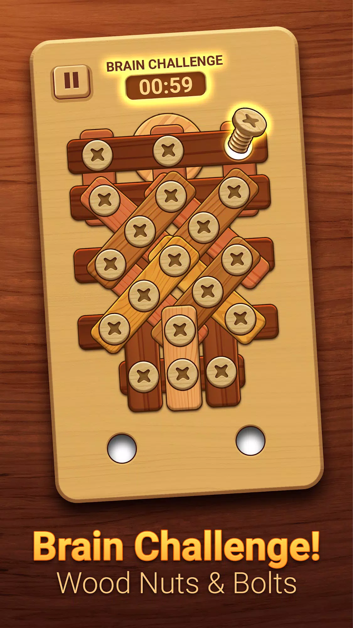 Woodle - Wood Screw Puzzle スクリーンショット 3