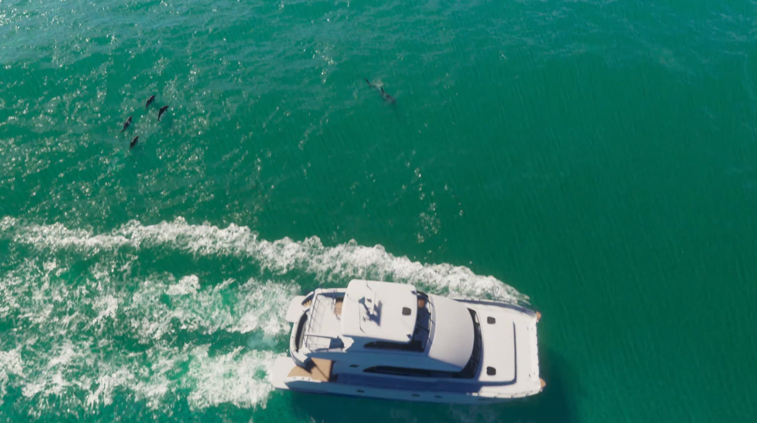 GTA 6 Trailer Detail