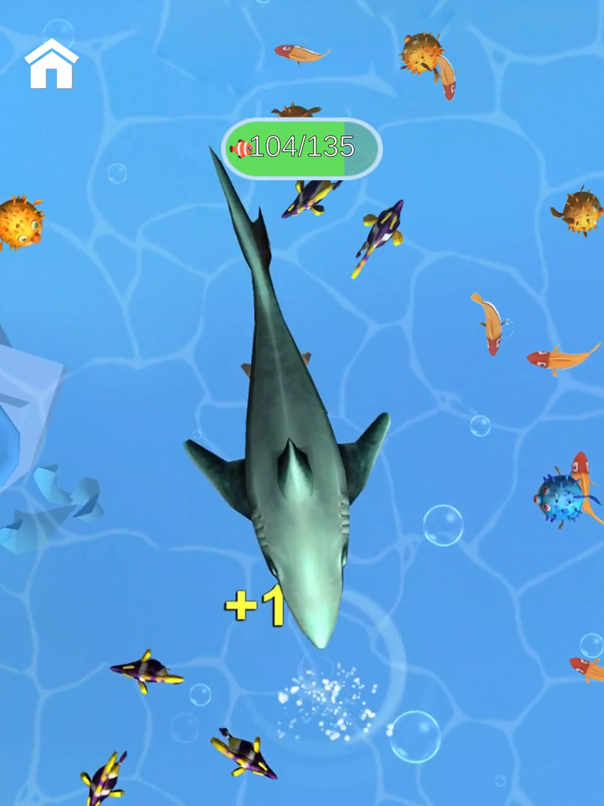 Shark Frenzy 3D應用截圖第2張
