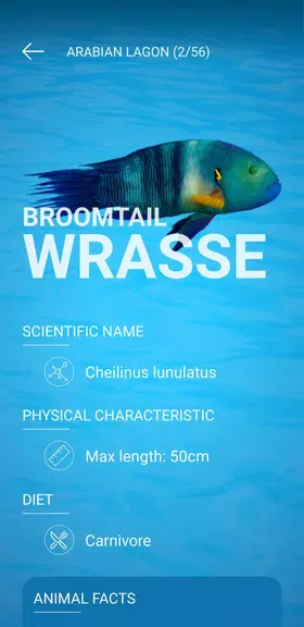 The National Aquarium应用截图第3张