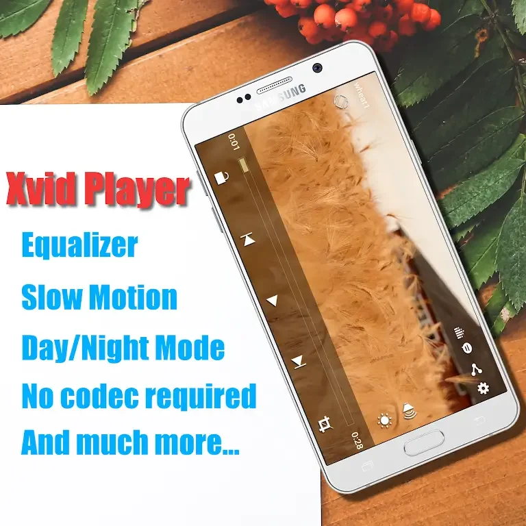 Xvid Video Codec Player應用截圖第1張