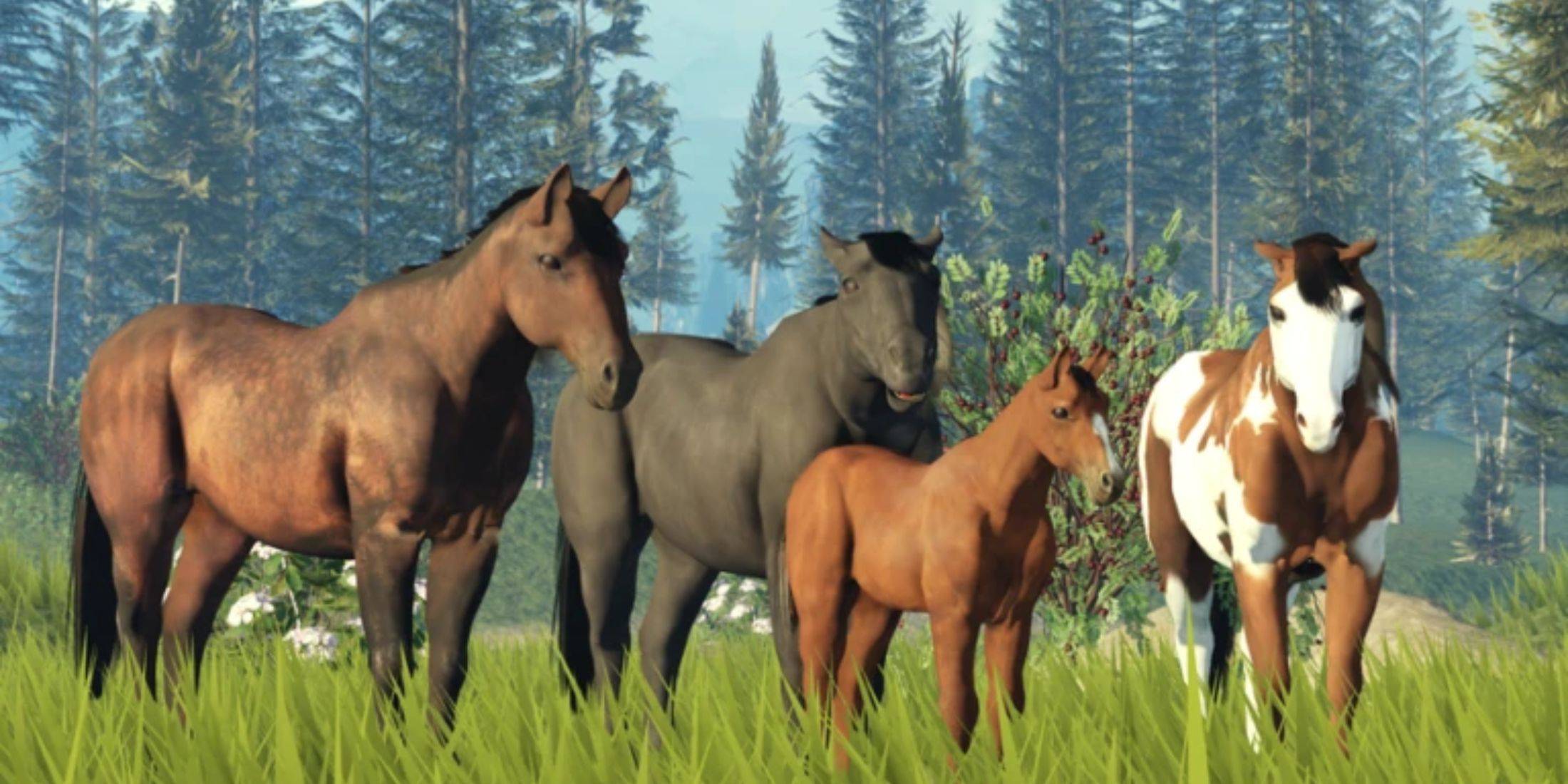 Seien Sie der Erste, der es erlebt! Roblox Yellowstone veröffentlicht die neuesten Codes (Januar)