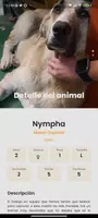 Amazdog Screenshot 3