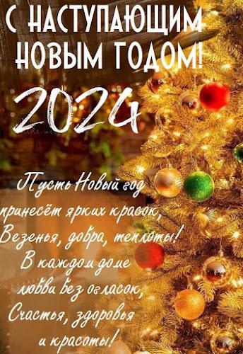 С новым годом 2024應用截圖第2張