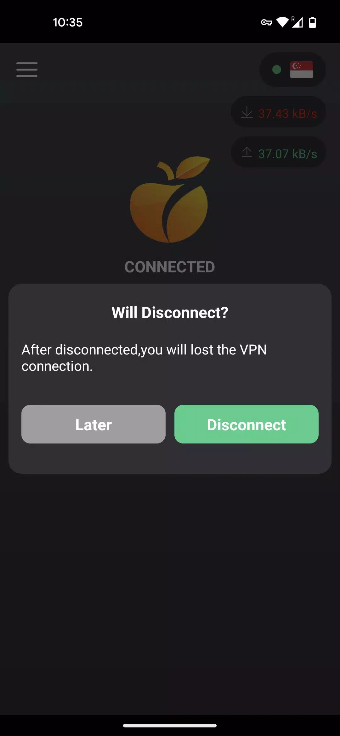 OraVPN应用截图第4张